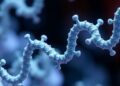 From Generalist to Specialist: Protein Binding Evolution — Chemistry