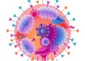 From Immunosuppression to Immune Harmony: Advancing Regulatory T Cell Therapy in Organ Transplantation — Technology and Engineering