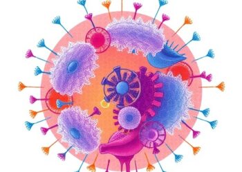 From Immunosuppression to Immune Harmony: Advancing Regulatory T Cell Therapy in Organ Transplantation — Technology and Engineering