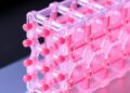 From Lines to Lattices: High-Resolution PDMS Printing — Technology and Engineering