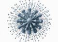 Gaussian Boson Sampling: 1,024 Squeezed States, 8,176 Modes — Medicine