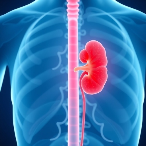 HALP Score Links to Outcomes in Acute Kidney Injury — Technology and Engineering