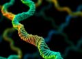 HELIX: Scalable Model Predicts RNA Splicing Regulation — Technology and Engineering