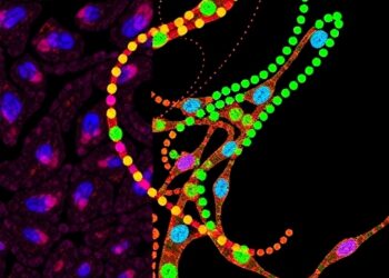 HESpotEx: Deep Learning Predicts Gene Expression from Histology — Technology and Engineering