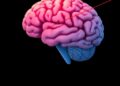 Hippocampal–Retrosplenial Axis Enables Subspace Communication — Medicine