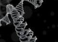 Human RNA m5C Methyltransferase NSUN2 Specificity — Medicine
