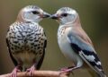 Humans and Zebra Finches Share Similar Speech Learning Techniques #ASA190 — Chemistry