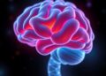 In-Depth Analysis Reveals Advances in Multiple Sclerosis Research Models — Biology