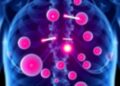 Inhibiting TGF-β Signaling Could Enhance Osteoporosis Treatment Effectiveness — Biology