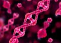 Innovative CRISPR Technique Targets and Destroys DNA in Diseased Cells to Combat Viral Infections and Cancer — Technology and Engineering