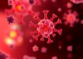 Innovative Experimental Approach Allows Targeted Removal of Proteins Driving Disease — Biology