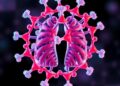 Introducing a Breakthrough Tuberculosis Drug Developed Through High-Precision Molecular Simulations — Technology and Engineering