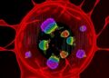 Label-Free Super-Resolution Imaging of Live Cells — Technology and Engineering