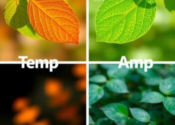 Leaf Temperature vs. Ambient Air: Key Differences Explored — Biology
