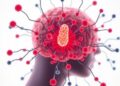 Machine Learning Pinpoints Immunotherapy Targets, Validated by Tumor Explants — Technology and Engineering