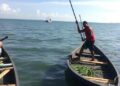 Marine Conservation’s Impact on Eastern Indonesia Livelihoods — Technology and Engineering