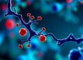 Meta-Learning Advances Antigen-Specific TCR Binder Detection — Technology and Engineering
