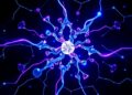 Metal Electrode Potential Shifts with Ion Additions — Chemistry