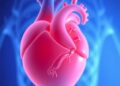Necrotising Enterocolitis Risk in Preterm Hearts — Technology and Engineering