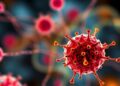 New AI Tool from Stowers Institute and Helmholtz Munich Unveils How Cells Decide Their Fate, Revealing Hidden Developmental Drivers — Technology and Engineering