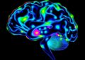 New Imaging Technique Simultaneously Maps Brain Activity in Nine Cell Types — Over Four Times the Previous Limit — Biology