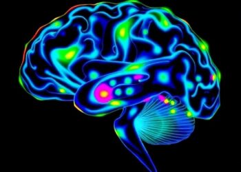 New Imaging Technique Simultaneously Maps Brain Activity in Nine Cell Types — Over Four Times the Previous Limit — Biology
