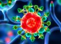 New Study Reveals How Chemotherapy Modulates the Immune System to Impact Tumor Response — Cancer