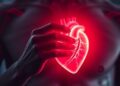 New Study Reveals Strong Link Between Extremely Low and High Heart Rates and Increased Stroke Risk — Technology and Engineering