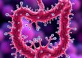 New Study Uncovers “Bet-Hedging” Strategy Enabling Gut Bacteria to Survive and Thrive — Biology