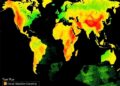 New Tool Enhances Crop Phenology Analysis Using Large-Scale Earth Observation Data — Agriculture