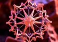 New Unified Framework Unveils Complete Hierarchy of Topological Boundary States in Floquet Crystals — Chemistry