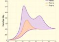 Nomogram Predicts Early Outcomes in Childhood Aplastic Anemia — Technology and Engineering