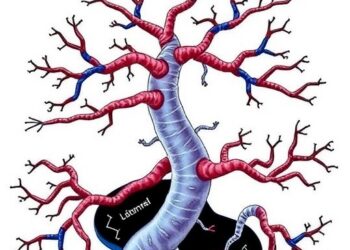 Noncanonical Sulfur Metabolism, Immunity Altered in Down Syndrome — Technology and Engineering