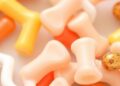 Paraprobiotics Mitigate BPA-Induced Damage to Male Fertility Linked to Plastic Exposure — Medicine