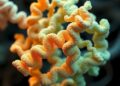 PolyU Pioneers Protein-Based Data Storage Breakthroughs Amid AI-Driven Data Surge, Achieving Superior Capacity, Stability, and Encryption – 15 May 2026 — Technology and Engineering