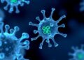 Precision at its Finest: New CRISPR Tool Effortlessly Targets and Removes Undesired Cells — Agriculture