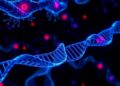 RNA Editing Enzyme Transforms Aggressive Bone Cancer Cells — Biology