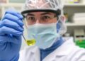 Researchers Create Rapid, Low-Cost On-Site Test for ‘Forever Chemicals’ — Chemistry