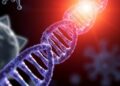 Researchers Reveal DNA’s Secret Shield Against UV Radiation — Chemistry