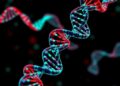 Revolutionary DNA-Guided CRISPR Paves the Way for Next-Generation RNA Editing — Technology and Engineering