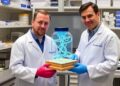 Scientists Achieve Breakthrough in Molecular ‘Sandwich’ Assembly — Chemistry