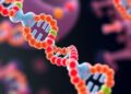 Scientists Harness Large DNA Fragment Assembly to Engineer Microbes for Producing Diverse Complex Compounds — Biology