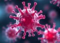 Scientists Uncover How Developing Immune Cells Precisely Adjust Their Signals — Biology