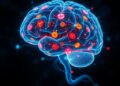 Scientists Uncover Sophisticated Language Processing in the Unconscious Human Brain — Technology and Engineering
