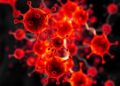 Shandong University Researchers Innovate Multi-Scale Feature Fusion and Weighted Ensemble Learning for Precise Promoter Identification Across Cell Lines — Biology