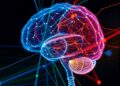 Stabilizing Fractional Dynamics Suppress Epileptic Seizures — Technology and Engineering