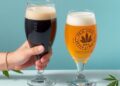 Study Finds Beer and Cannabis May Share Common ‘Sex Switch’ Mechanism — Agriculture