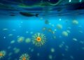 Study Offers In-Depth Analysis of Changes in Toxin-Producing Phytoplankton Populations — Biology