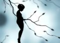 Study Reveals Connection Between Prenatal Chemical Exposure and Chromosomal Abnormalities in Adult Sperm — Biology