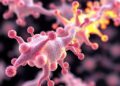Supercomputer Simulations Uncover How Bacterial Enzyme Pumps Sodium Ions, Opening Doors to Novel Antibiotics — Biology